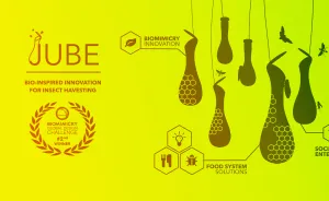 Biomimicry Innovation For Food Crisis