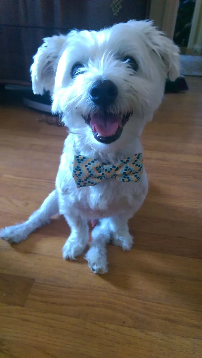 Cheese!