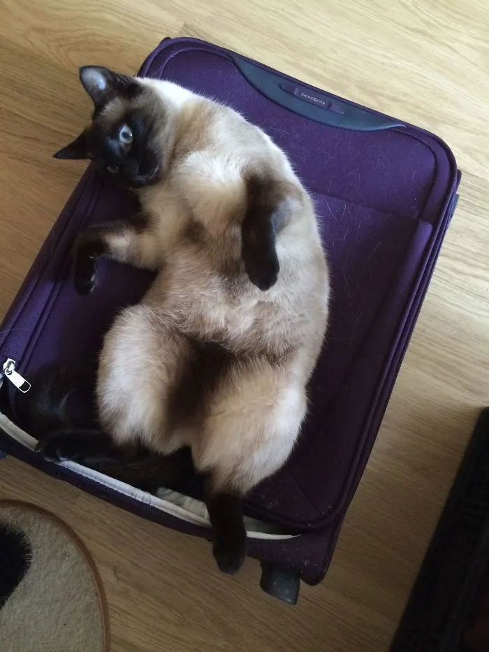 Mine.
