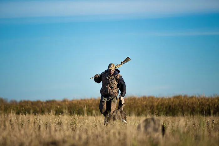 Early Morning Hunt