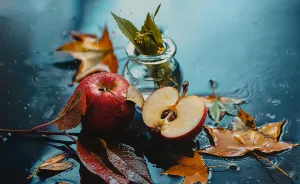 I Illustrate Moments Of Autumn And Rain With Still-Life Photography