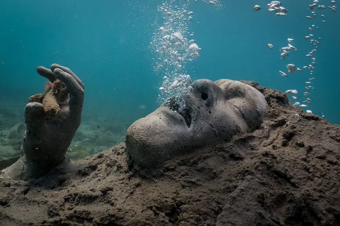 My Next Project In Reef Sculpture That Was Just Recently Submerged. Koh Tao, Thailand