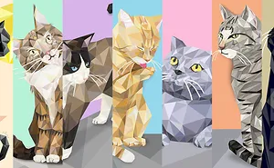 New Impressions For All Cat Lovers