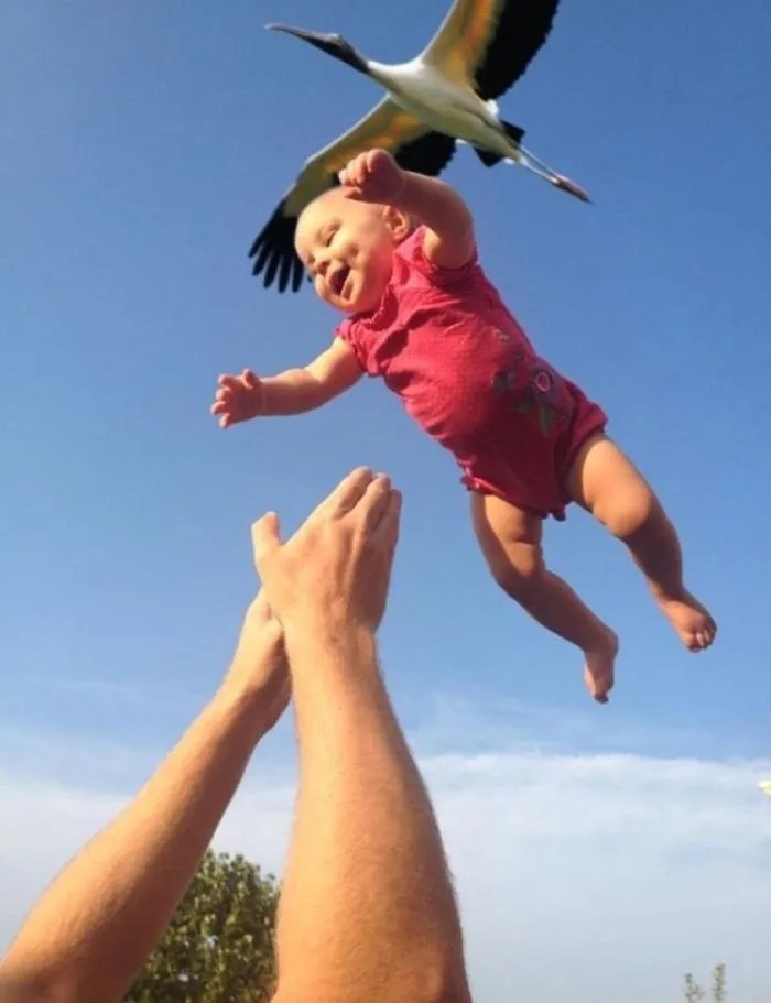 I Believe I Can Fly!
