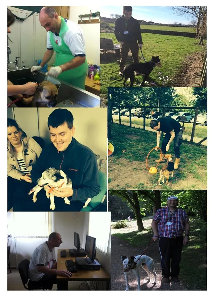 Not Everyone Can Own A Pet But Everyone Should Be Able To Benefit From The Joy They Bring.