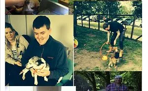 Not Everyone Can Own A Pet But Everyone Should Be Able To Benefit From The Joy They Bring.