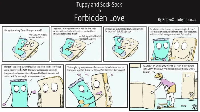 Have You Ever Wondered Where Your Single Socks And Tupperware Go?