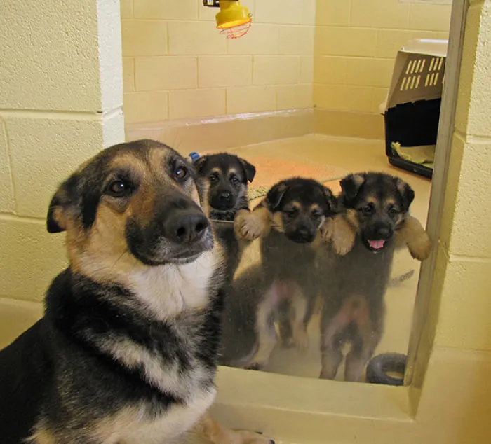 Proud Mom