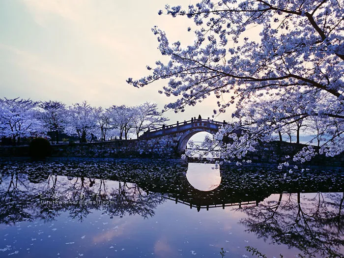 Yuantouzhu,wuxi