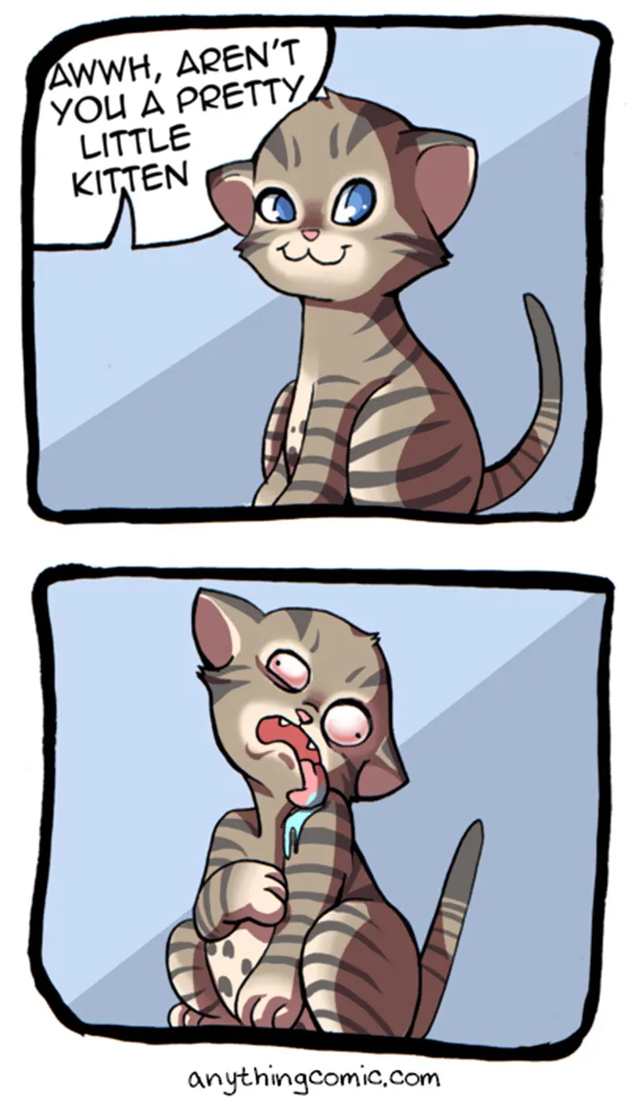 45 Comics That Perfectly Sum Up What It's Like To Live With Cats
