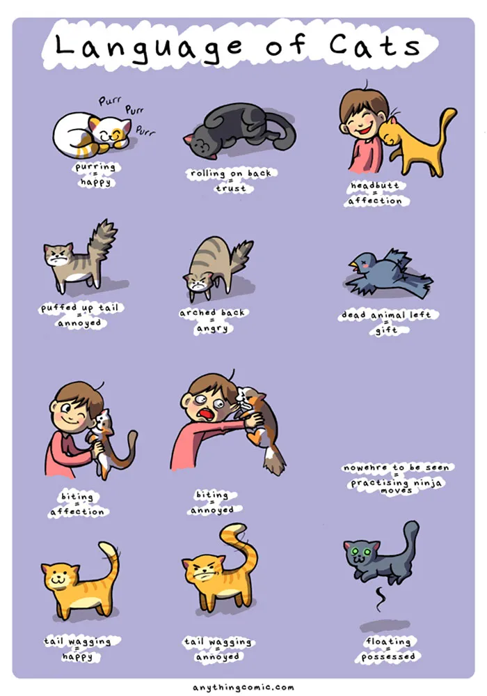45 Comics That Perfectly Sum Up What It's Like To Live With Cats