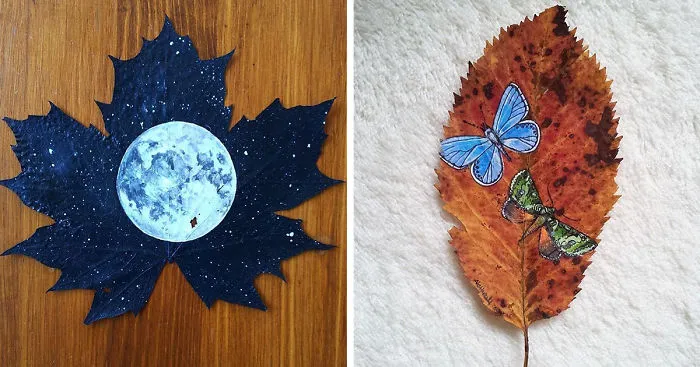 Maple Leaves Left In A Box For 15 Years Became Canvases For My Art