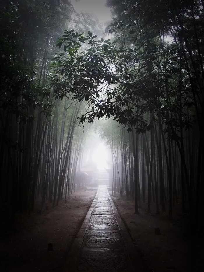 Shunan Zhuhai, Bamboo Sea