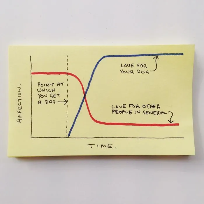36 Brutally Honest Illustrations Perfectly Sum Up Adulthood