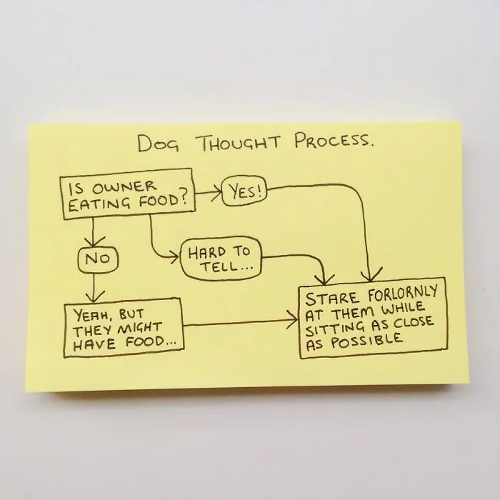 36 Brutally Honest Illustrations Perfectly Sum Up Adulthood