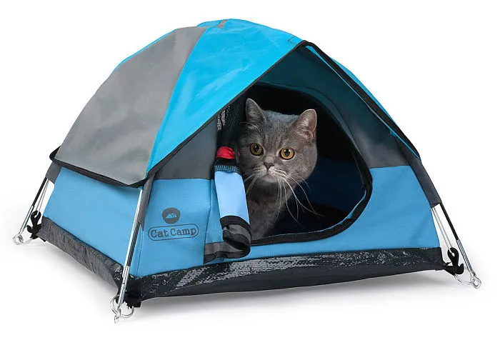 Tiny Tents For Cats!