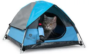 Tiny Tents For Cats!