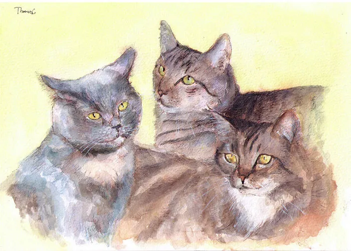 I Made 11 Drawings Of Cats Feeling Excellent About Themselves!