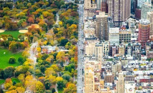 Incredible Contrast Between Two Worlds: The City Vs. Central Park, New York