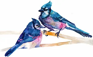 Colorful Birds Painted With Watercolors By Maja Wronska