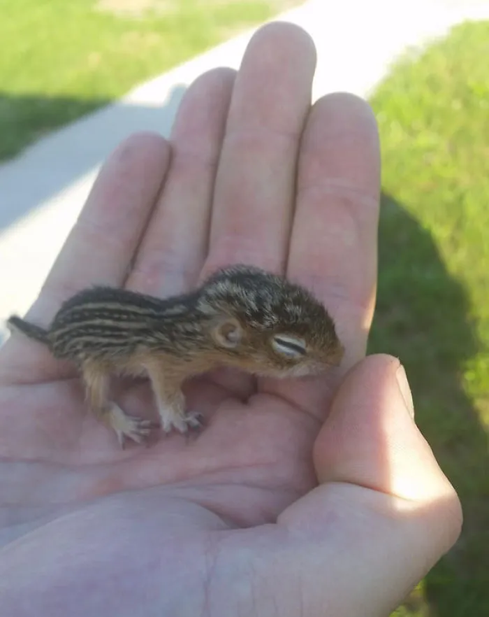 I Found This Guy All Alone In The Grass