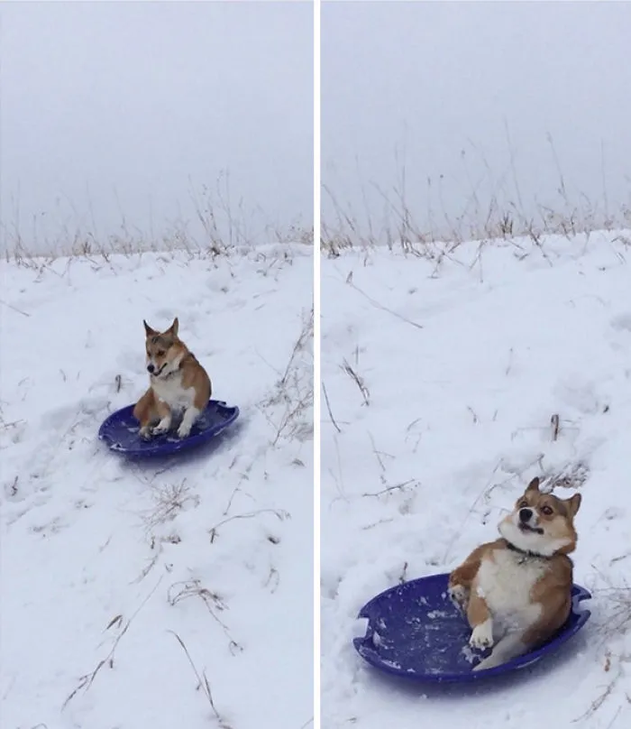 I Immediately Regret This Decision