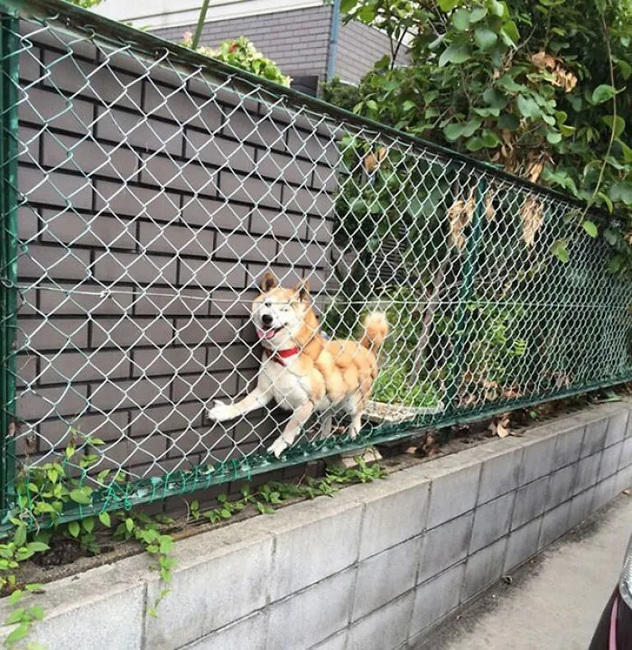 I've Made A Huge Mistake
