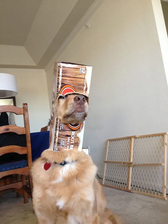 I Have Made A Huge Mistake