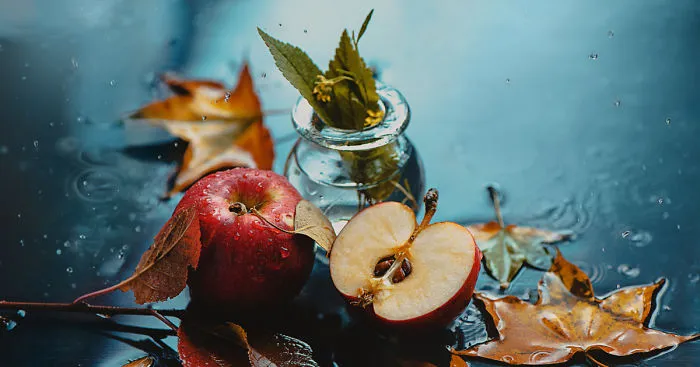 I Illustrate Moments Of Autumn And Rain With Still-Life Photography