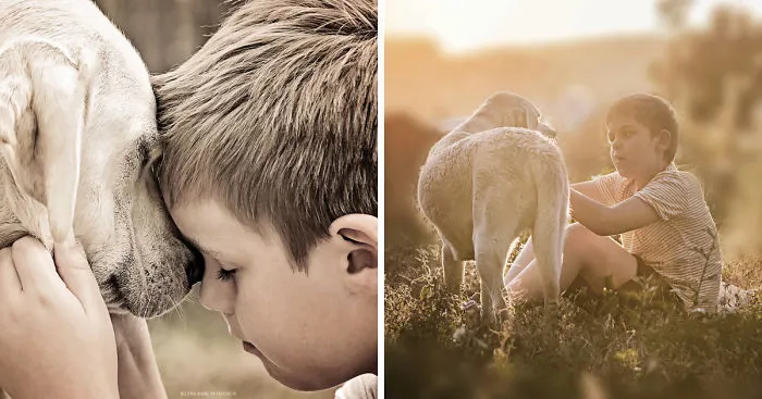 Beautiful Friendship Between My Son And Our Rescued Labrador (Part Two)