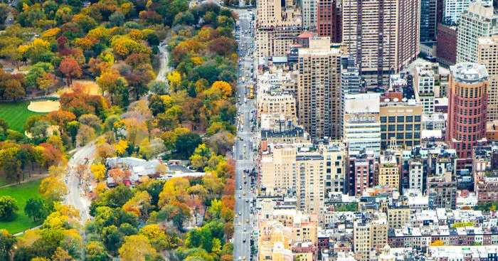 Incredible Contrast Between Two Worlds: The City Vs. Central Park, New York