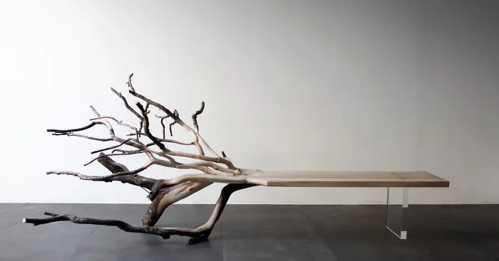 "Fallen Tree" Bench Perfectly Illustrates Where It Came From