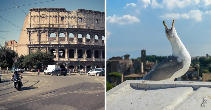 The Most Photogenic Capital In Europe Is Rome And Here's Proof