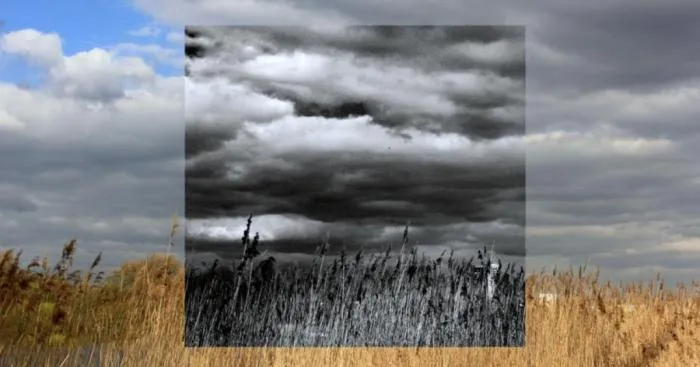 Window Series: I Capture Alternative Realities