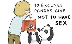 12 Excuses Pandas Give Not To Have Sex