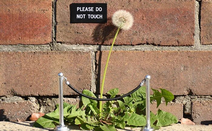 Artist Leaves Funny Signs Around City For People To Find