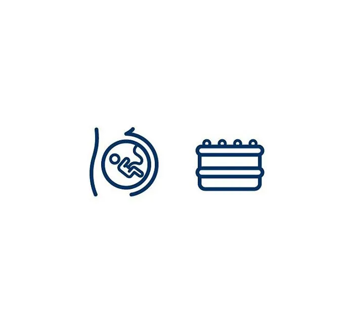 Placenta (Legkaka) = Womb + Cake