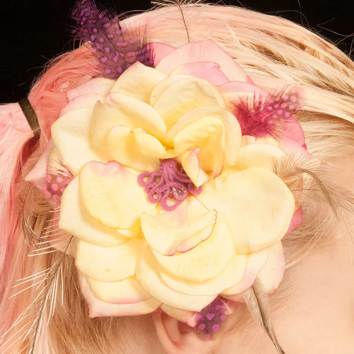 Hairclip