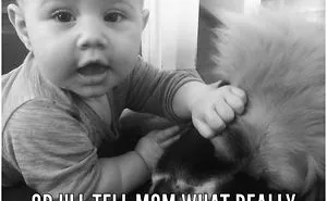 Say Uncle!