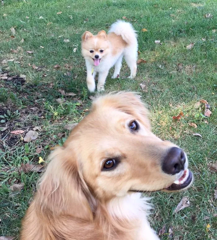 Cheese!