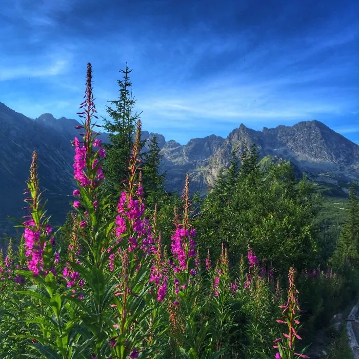 The End Of Summer In Polish Mountains.