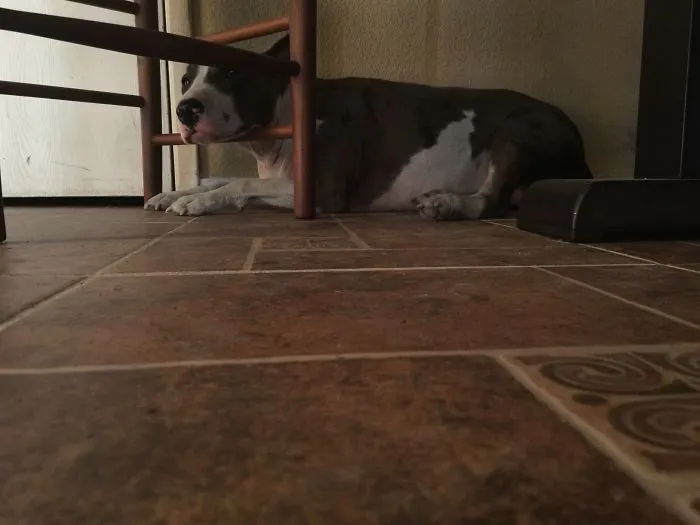 Chair Head Rest