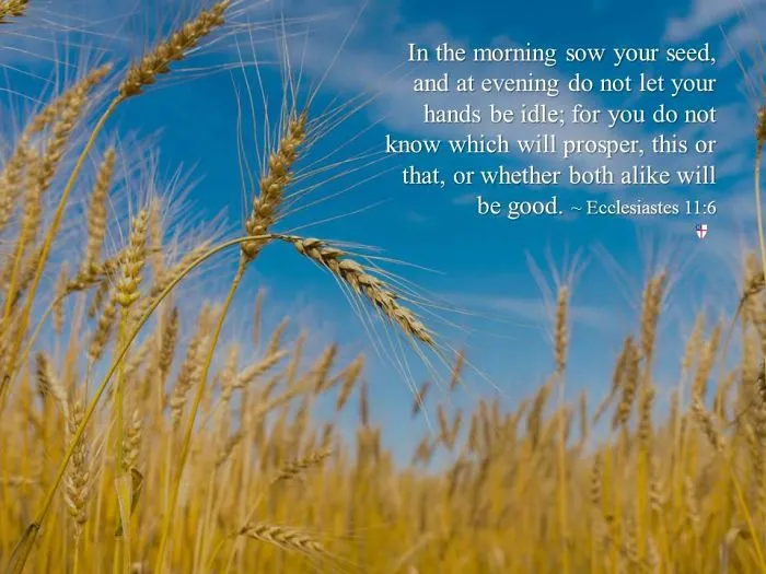 In The Morning