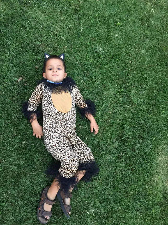 Jungle Kitty