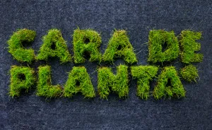 Unique Happy Face Shaped Diy Vertical Gardening System Makes Lush Gardens!