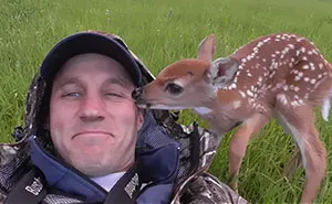 Baby Deer Refuses To Leave The Human Who Saved Her Life