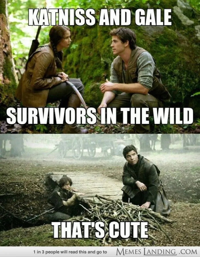 Hunger Games 2.0