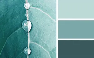Nature-Inspired Color Palettes AKA Design Seeds For Designers, Crafters And Home Decorators