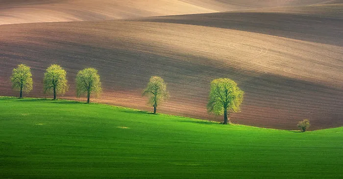 Hypnotizing Beauty Of Moravian Fields In The Czech Republic