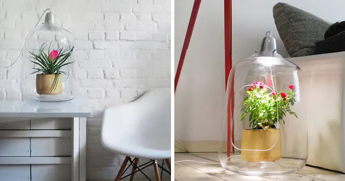 Plant Lamps That Will Give Your Flowers The Sunshine They Miss During Winter